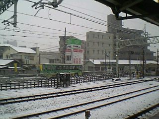 東京で見る雪はこれが、